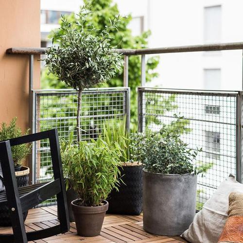 amenagement exterieur 500X500 – Recherche Google - terrasse-exterieur-appartement-main-12368946 AMÉNAGEMENT INTÉRIEUR ET EXTÉRIEUR