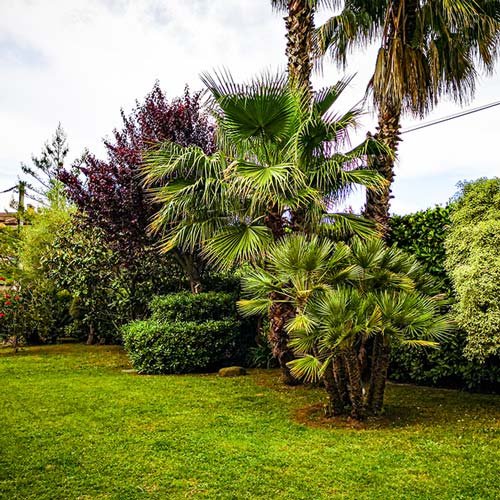 paysagiste terrasse500X500 – Recherche Google - jardin-paysagiste Terrasse
